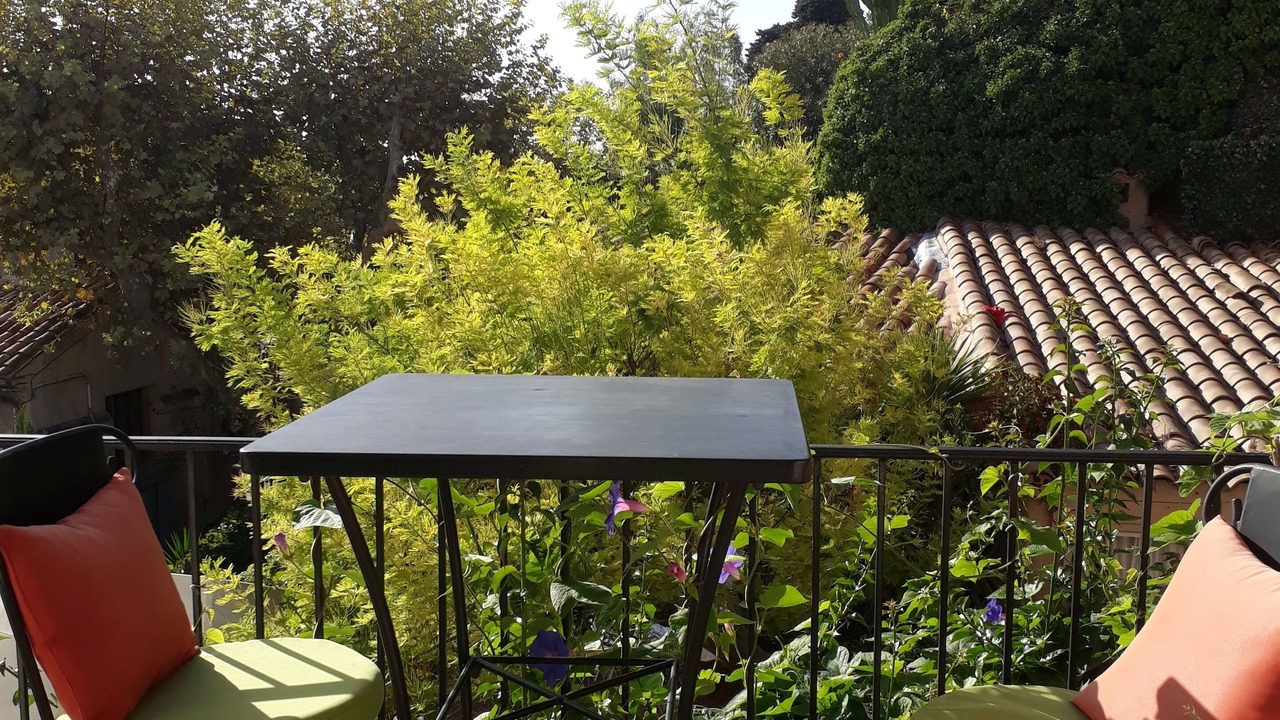 Photo of Outdoor in Le Suquet