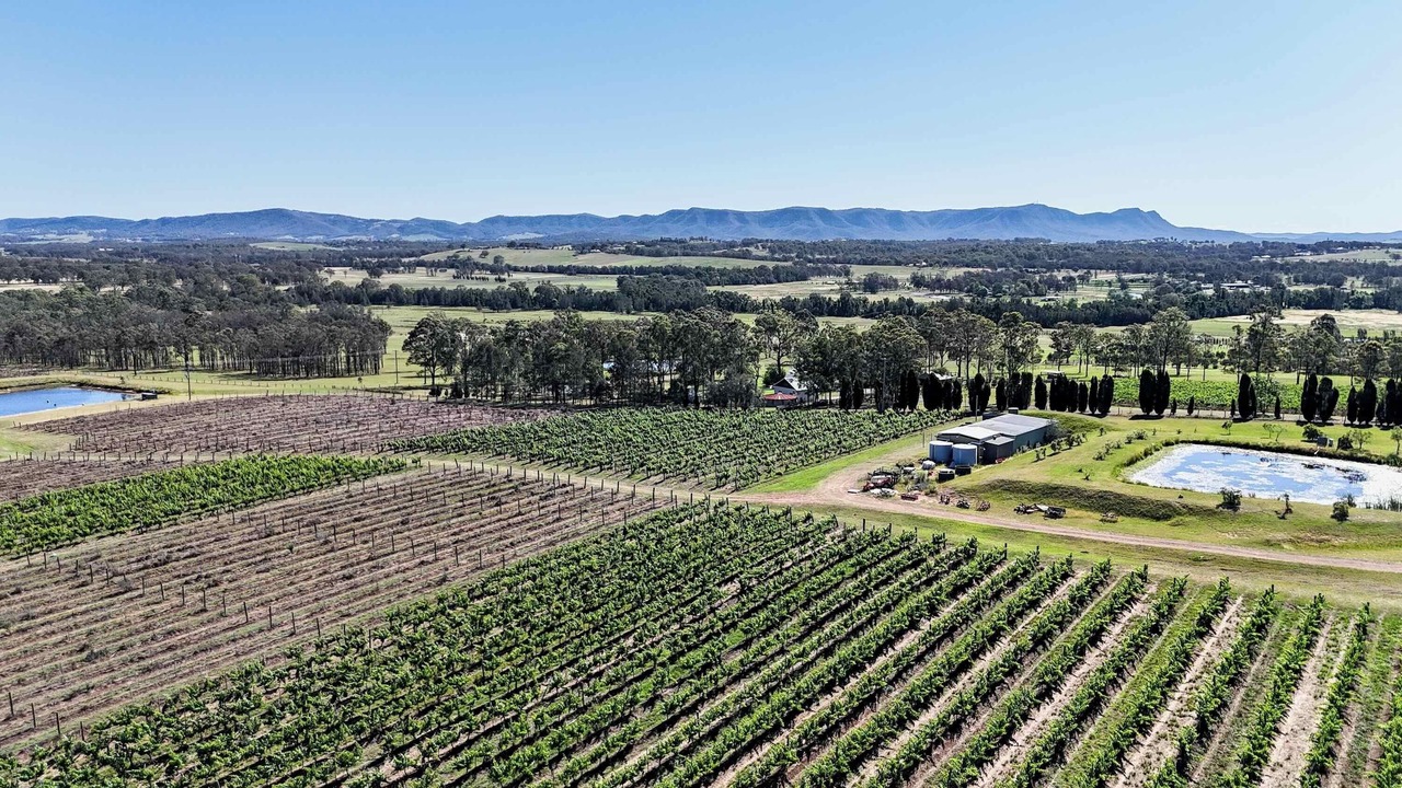 Photo of Outdoor in Lovedale