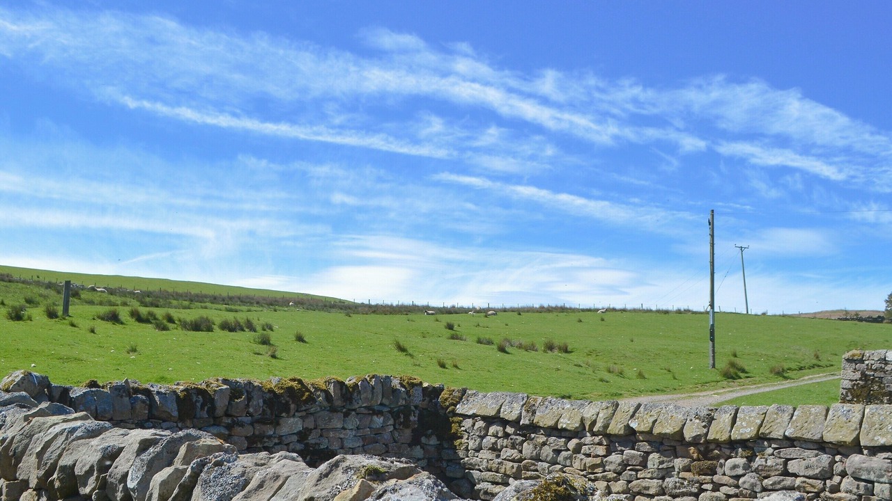 Photo of Outdoor in Elsdon