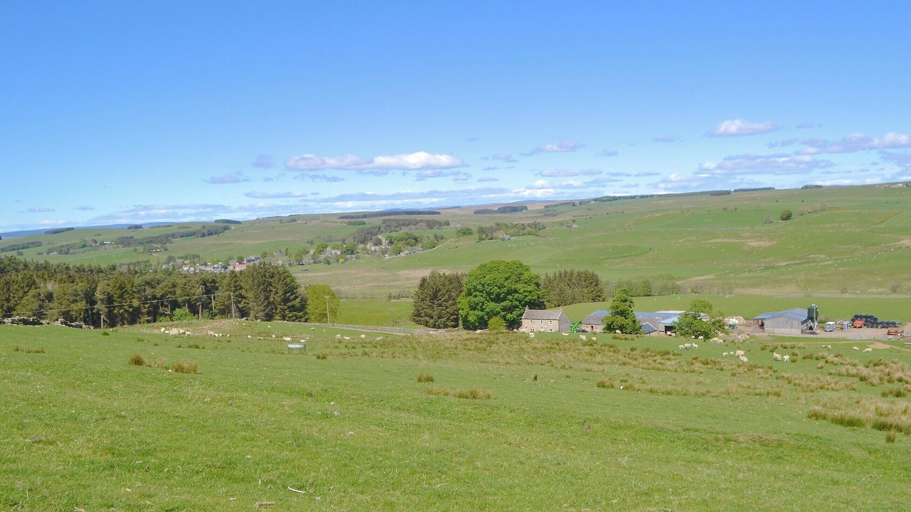 Photo of Others in Elsdon