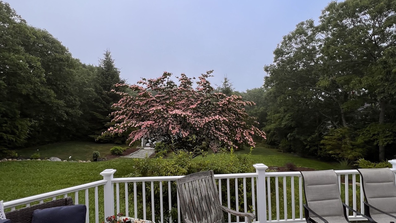 Photo of Patio Balcony in Edgartown