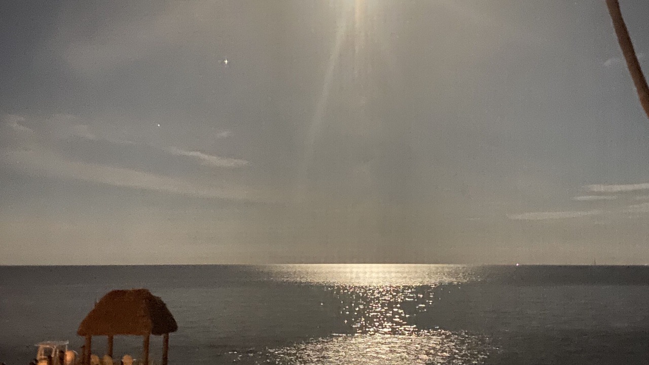 Photo of Others in Islamorada