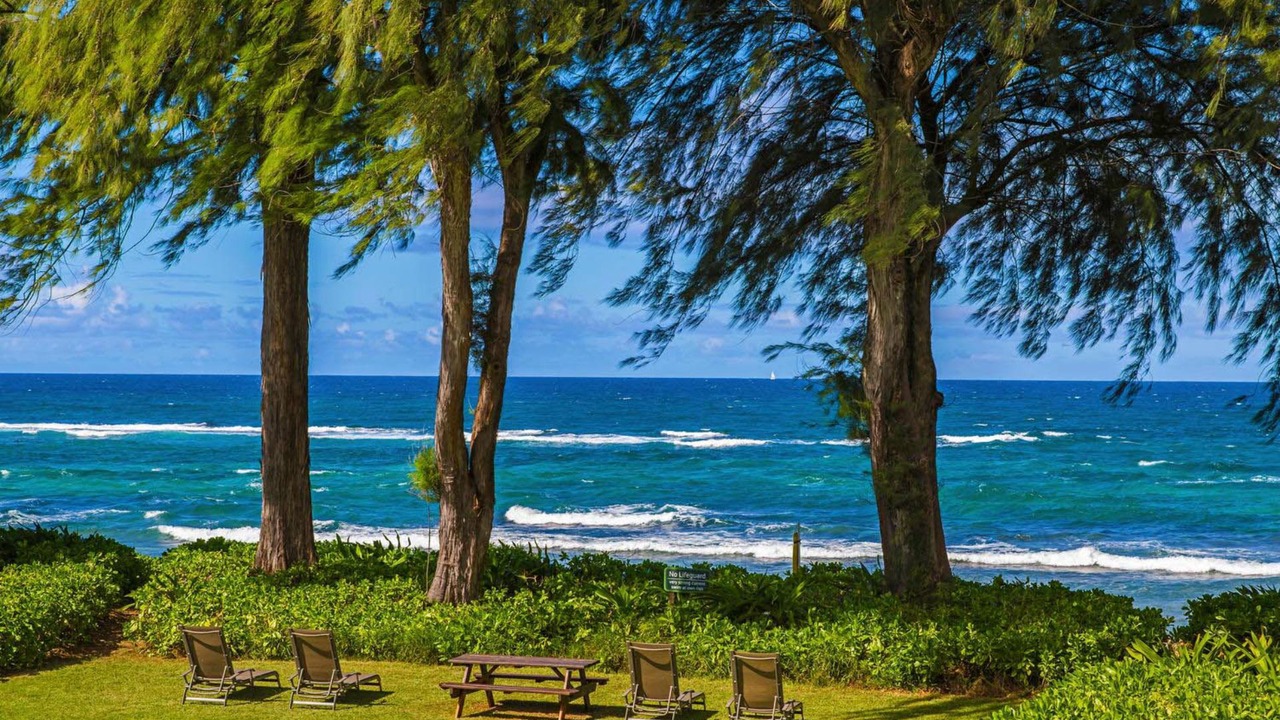 Photo of Others in Wainiha