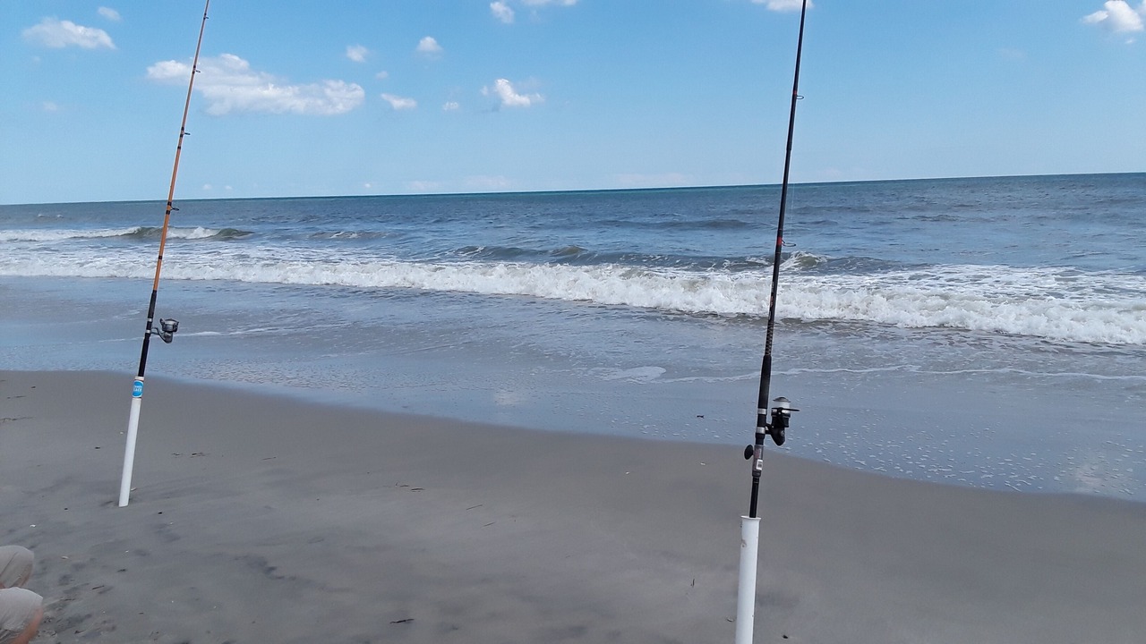 Photo of Others in Atlantic Beach