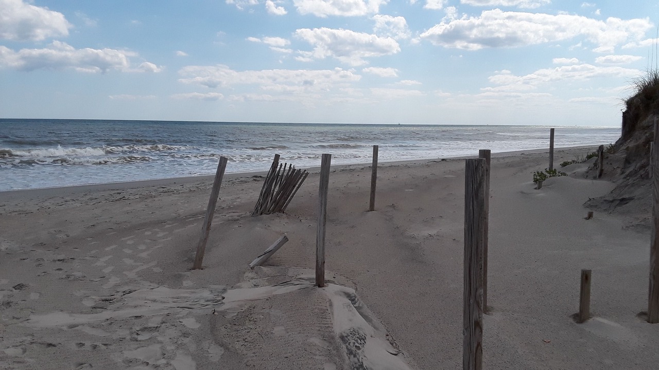 Photo of Others in Atlantic Beach