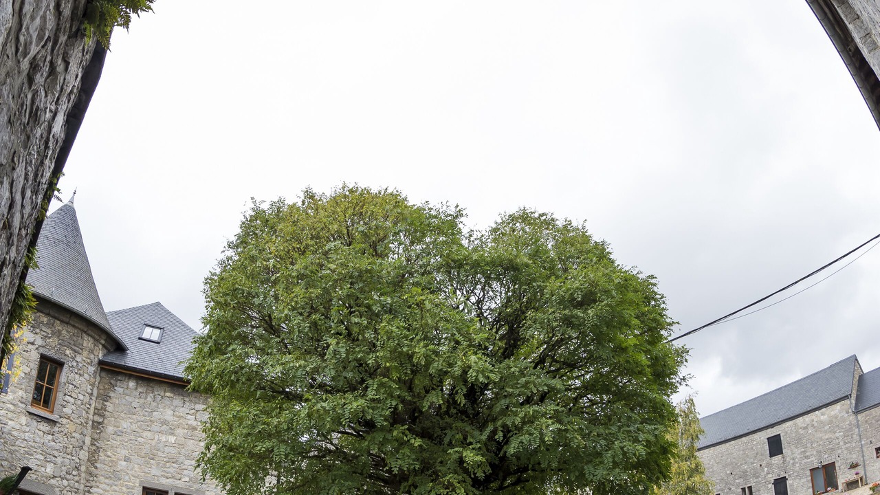 Photo of Outdoor in Laneffe
