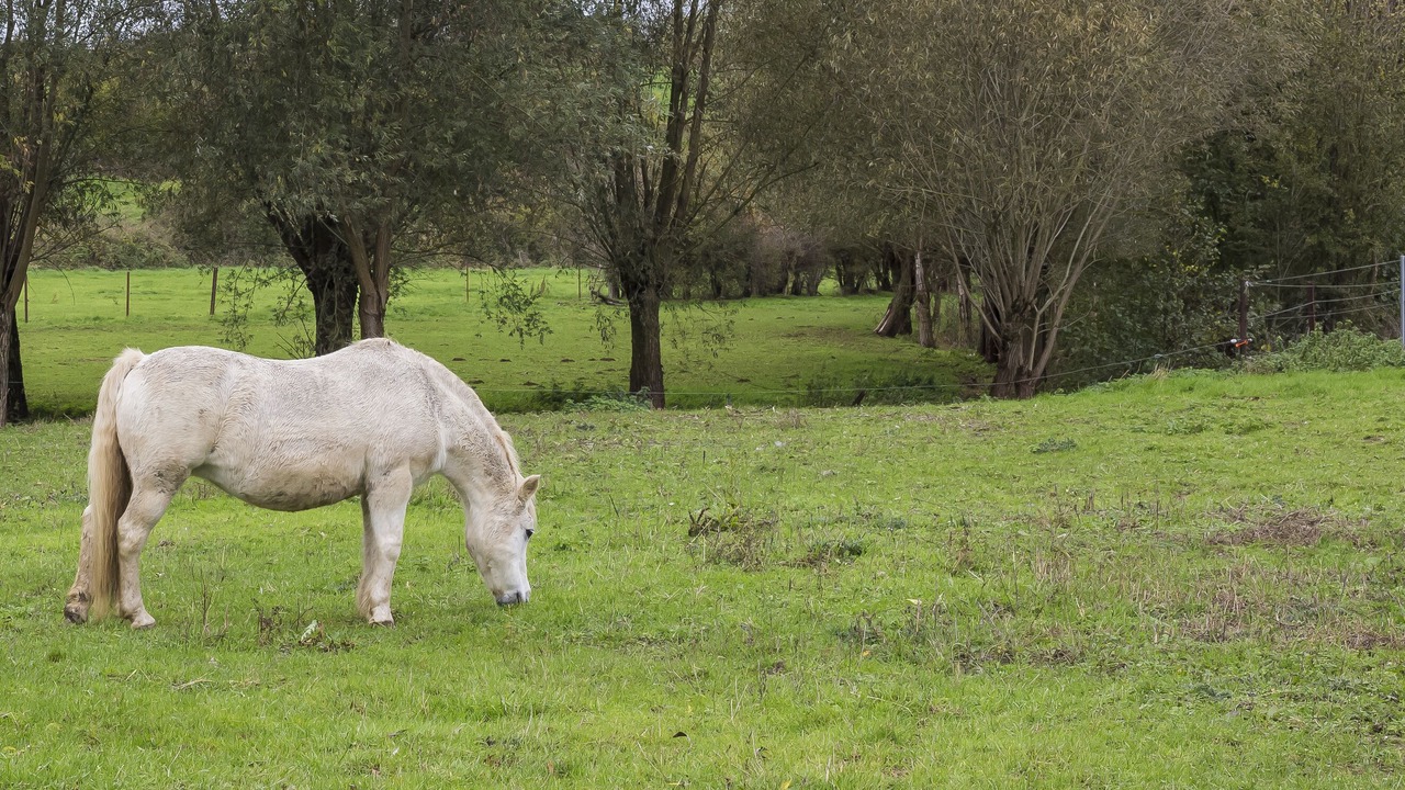 Photo of Outdoor in Laneffe