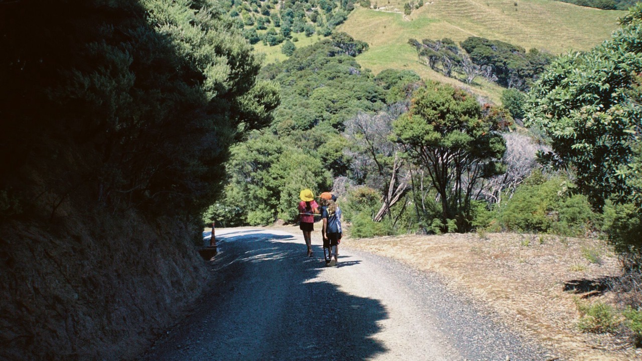 Photo of Others in Matauri Bay