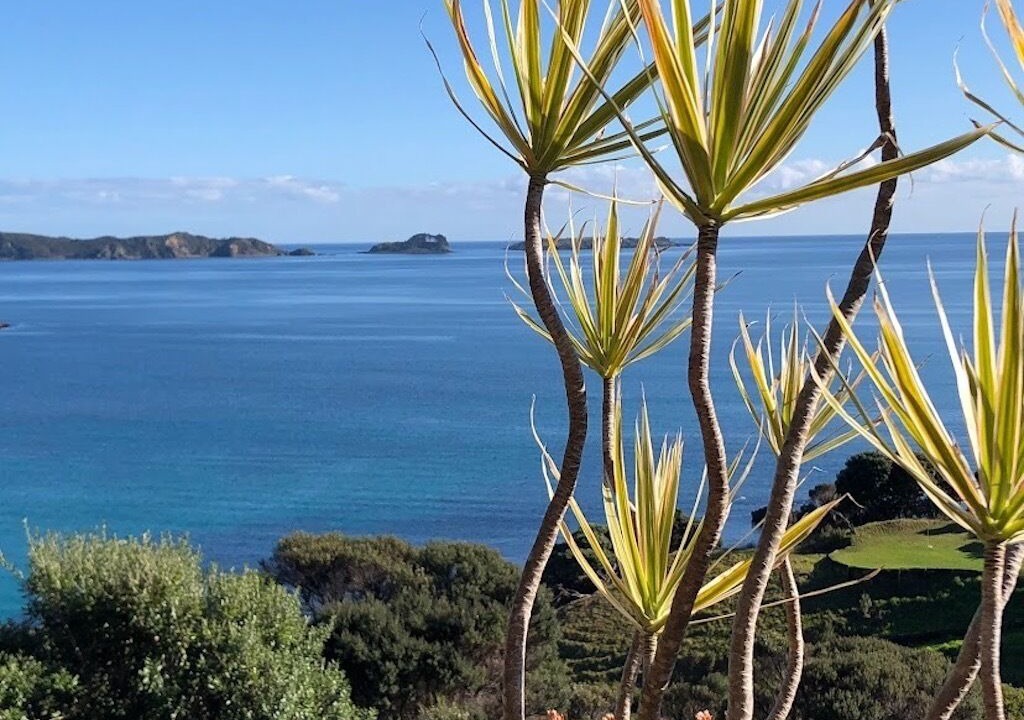 Photo of Others in Matauri Bay
