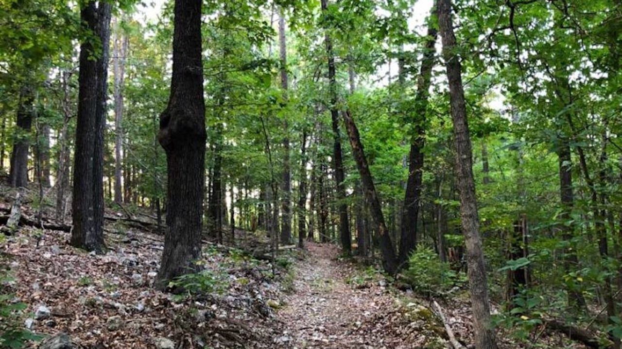 Photo of Others in Eureka Springs