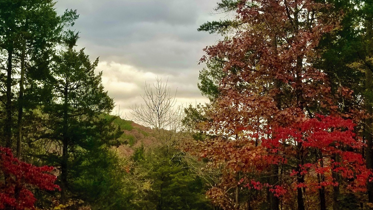 Photo of Others in Eureka Springs