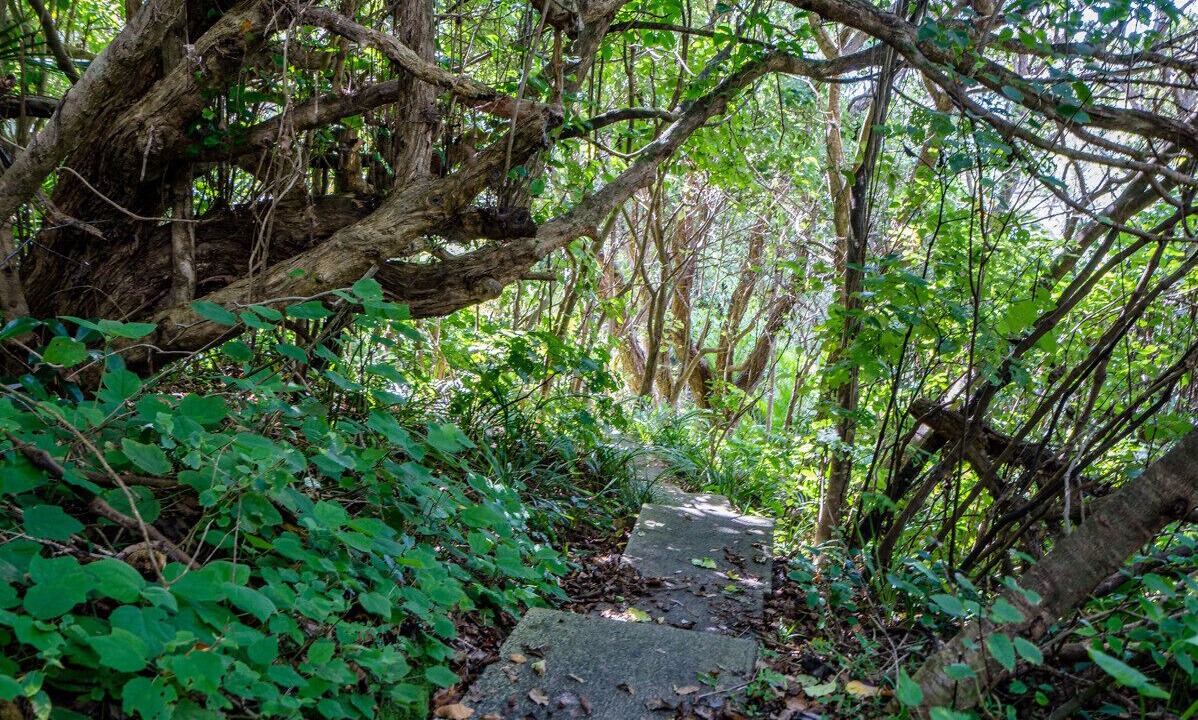 Photo of Outdoor in Waipu