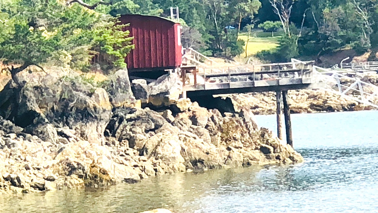 Photo of Others in Deer Harbor