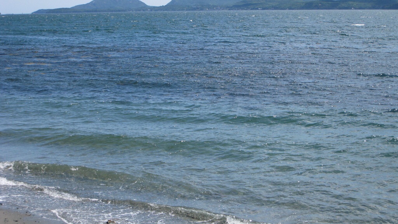 Photo of Others in Hancock Point