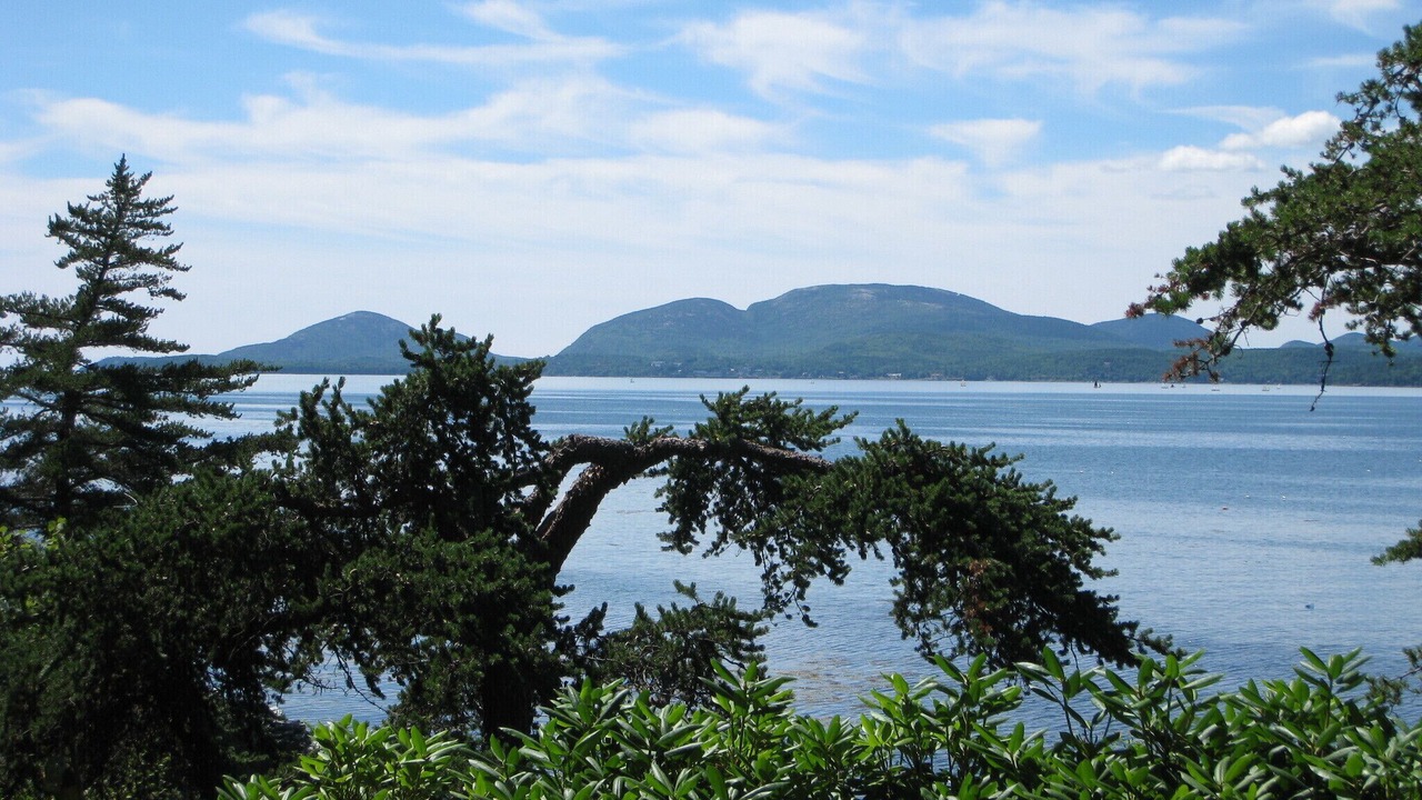 Photo of Others in Hancock Point
