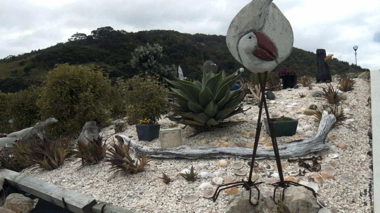 Photo of Others in Whangarei Heads