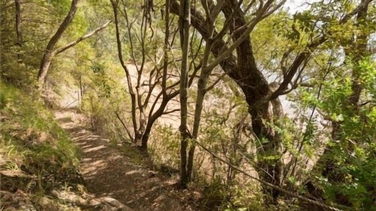 Photo of Others in Russell