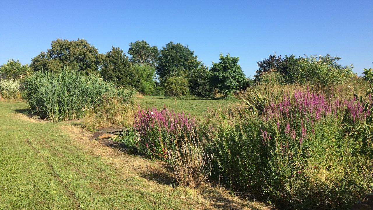 Photo of Outdoor in Joue-sur-Erdre