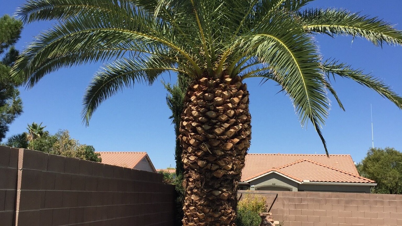 Photo of Others in Silverado Ranch