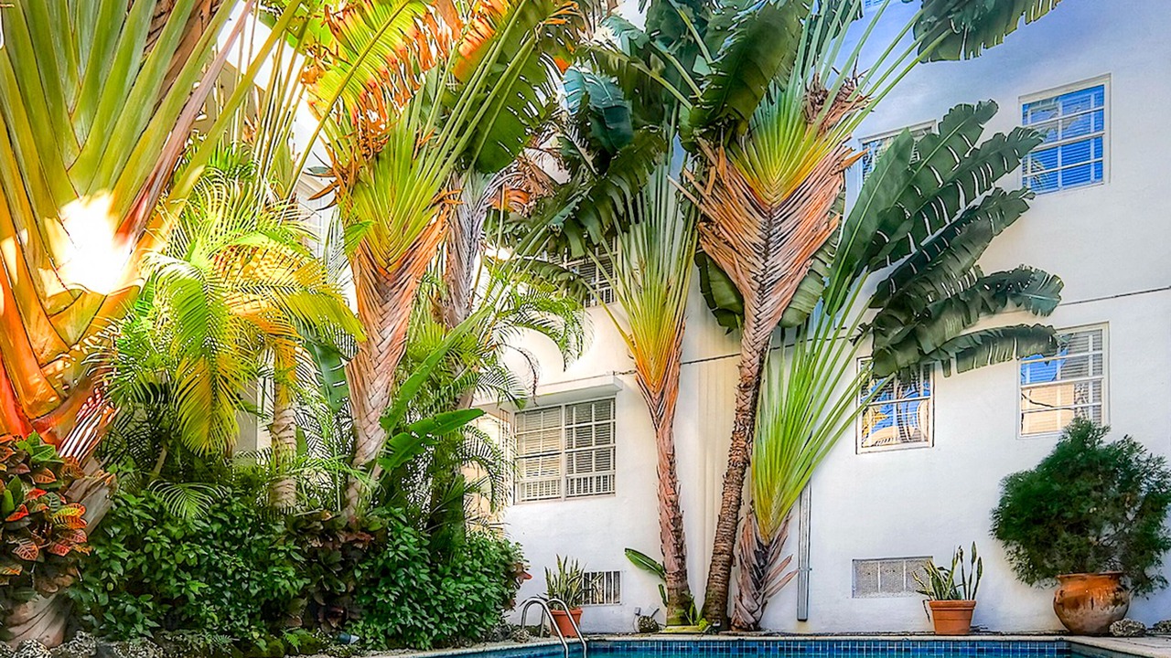 Photo of Outdoor in South Beach