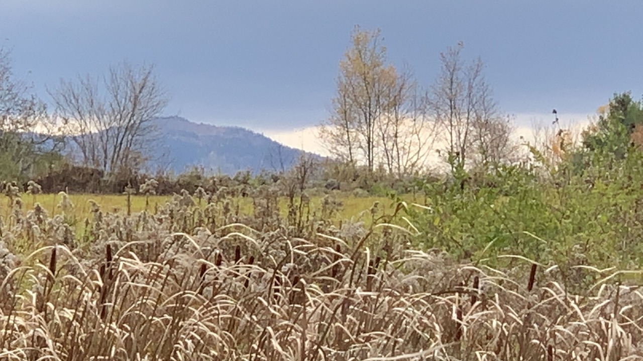 Photo of Others in Au Sable Forks