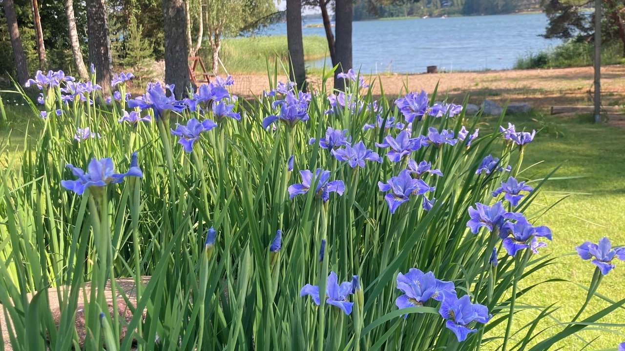Photo of Outdoor in Loviisa