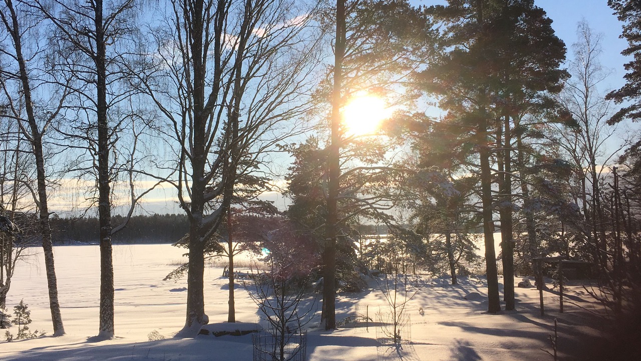 Photo of Others in Loviisa