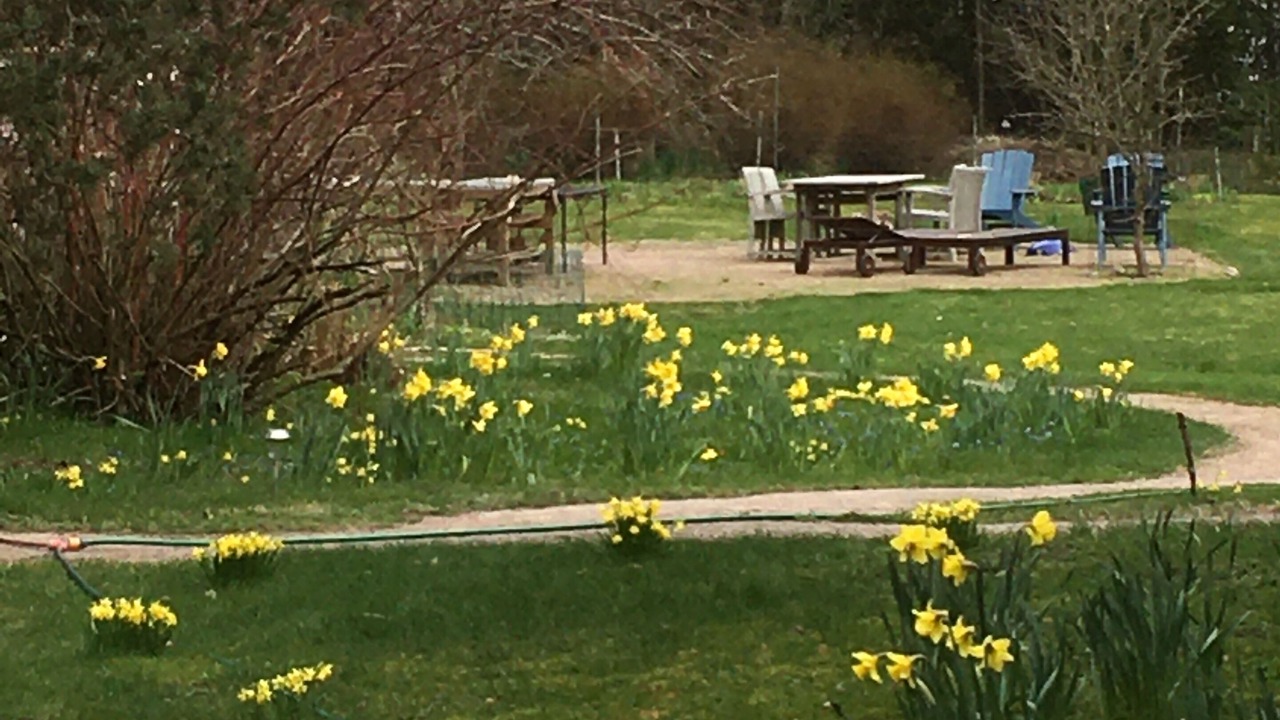 Photo of Outdoor in Loviisa