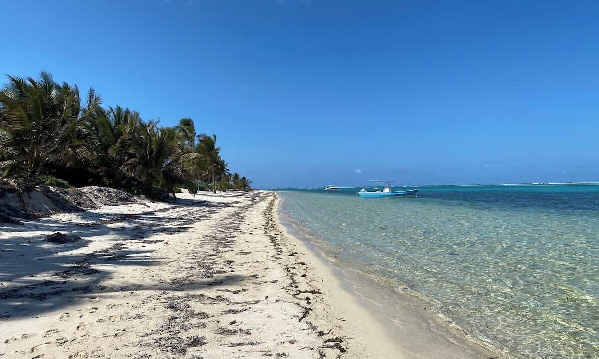 Photo of Others in Colliers Bay
