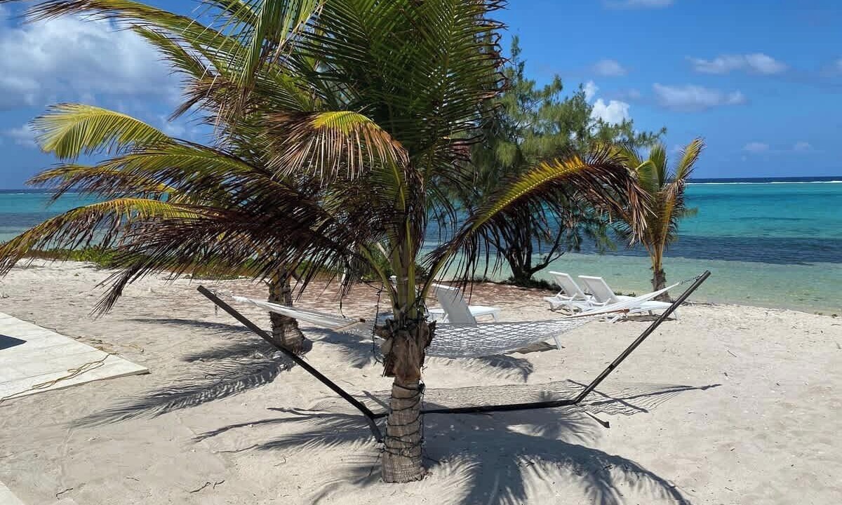 Photo of Others in Colliers Bay