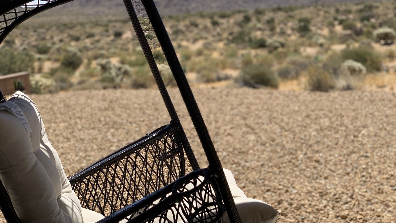 Photo of Others in Joshua Tree