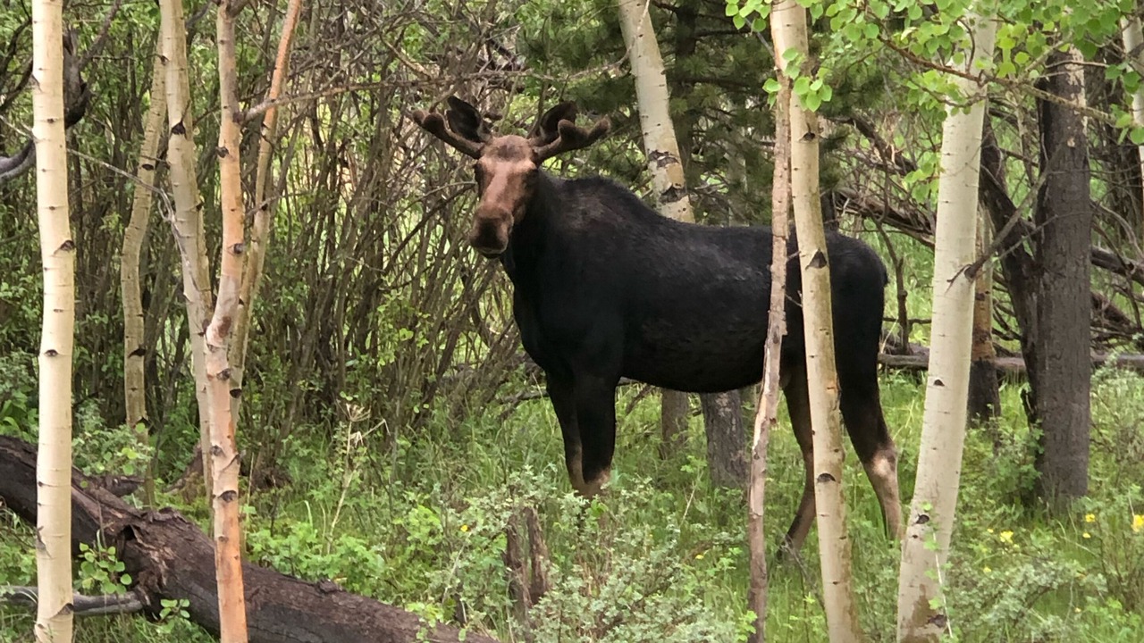 Photo of Outdoor in Crystal Lake