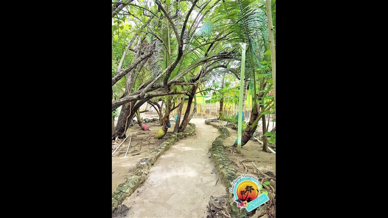 Photo of Outdoor in Calabash Bight