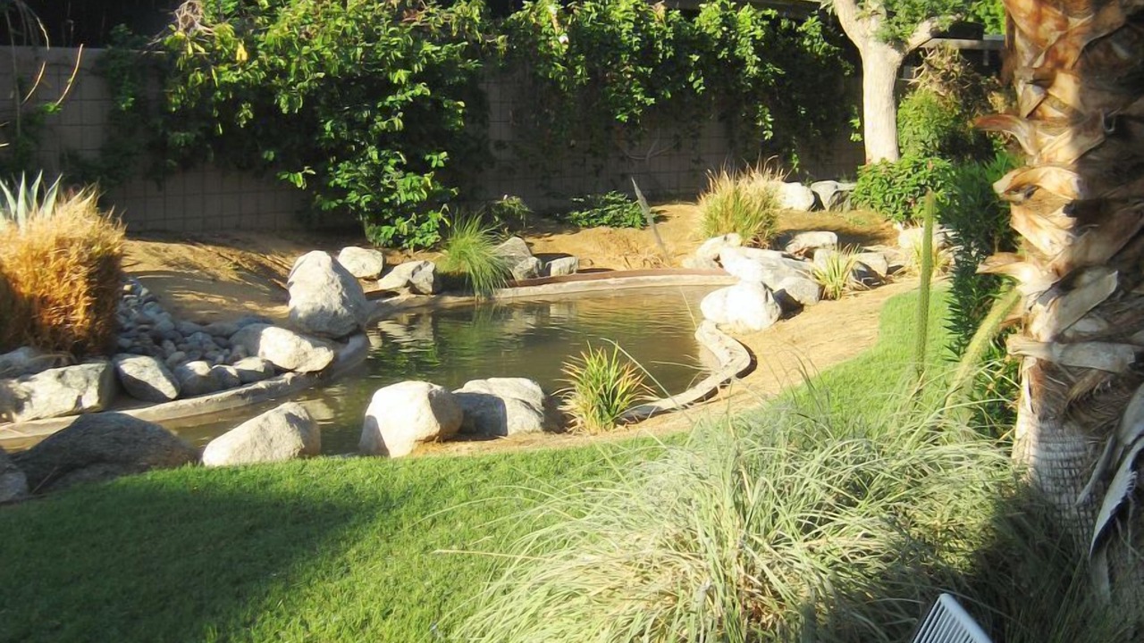 Photo of Others in Palm Desert