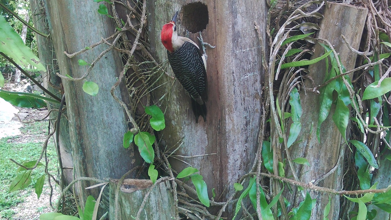 Photo of Outdoor in Unitedville