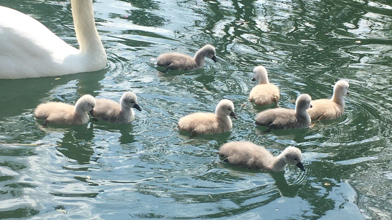 Photo of Others in Montigny-sur-Loing