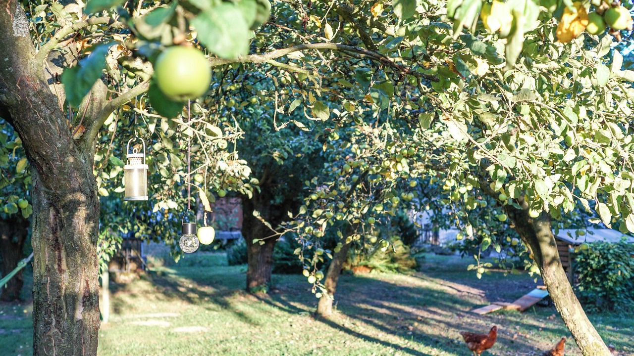 Photo of Outdoor in Deuten