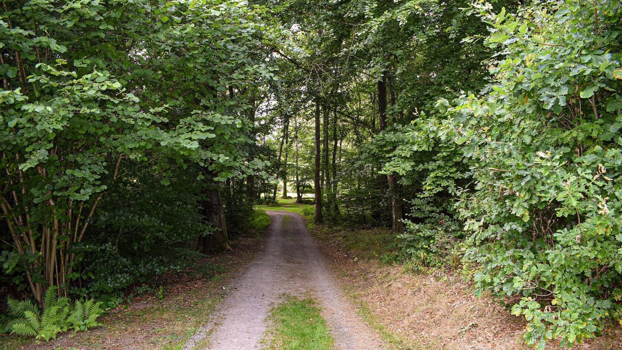 Photo of Others in Kvidinge