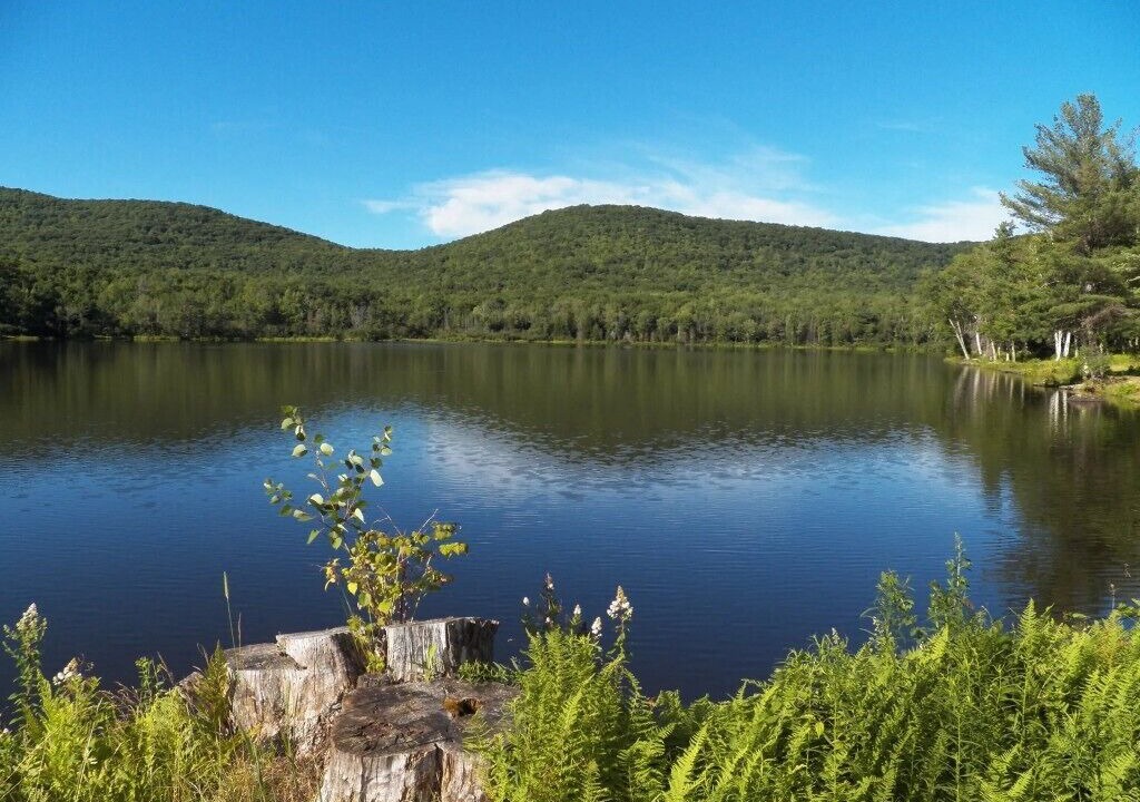 Photo of Others in Windham