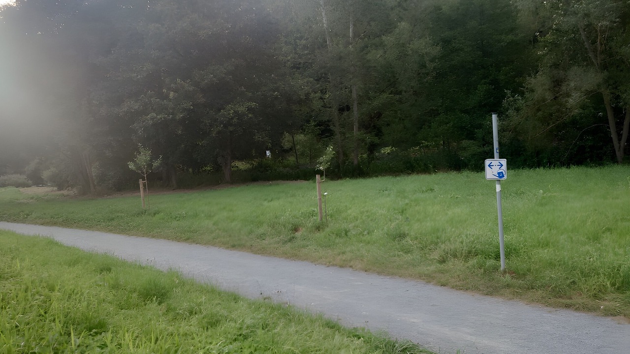 Photo of Others in Nuttlar