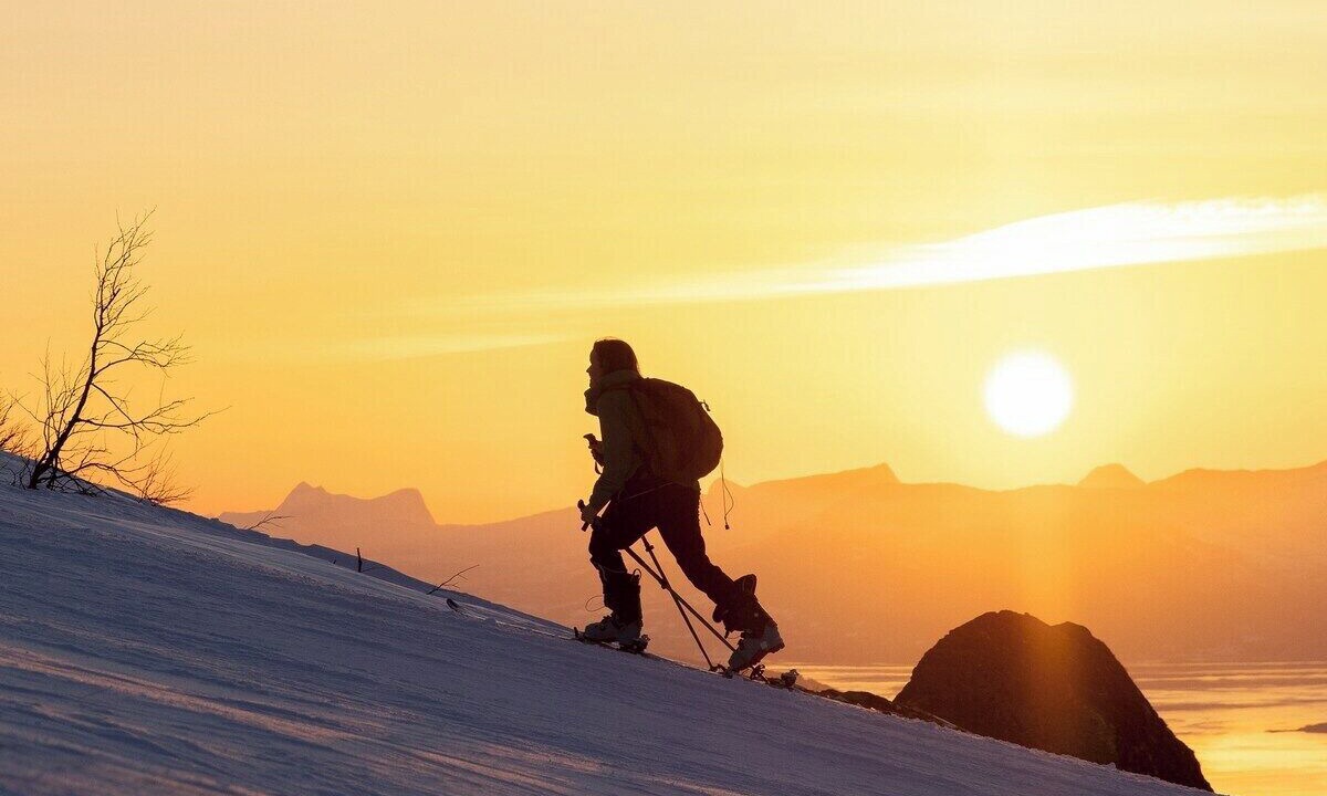 Photo of Others in Narvik