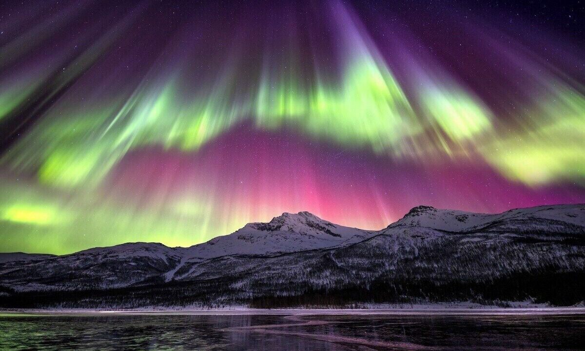 Photo of Others in Narvik