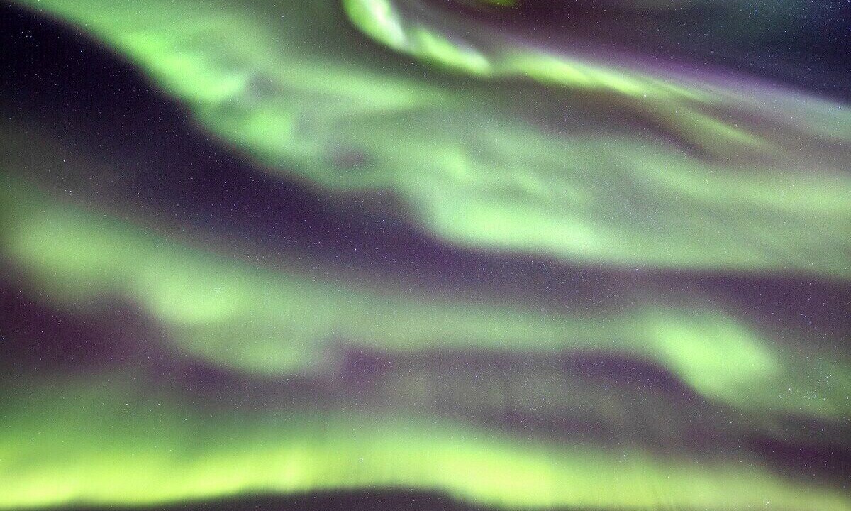 Photo of Others in Narvik