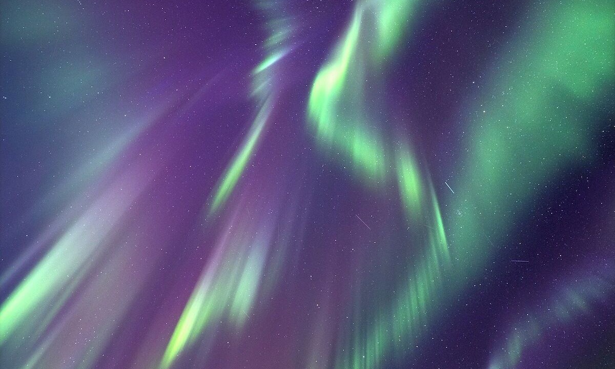 Photo of Others in Narvik