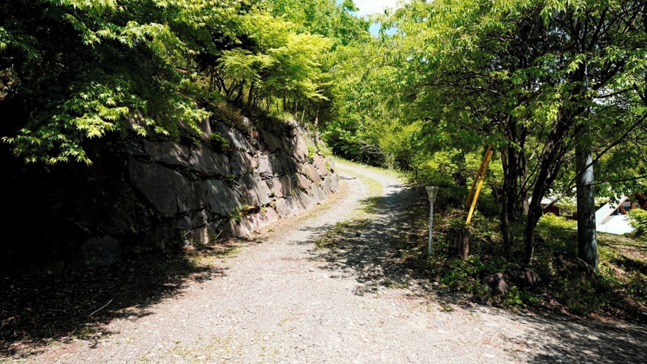 Photo of Others in Kiryu
