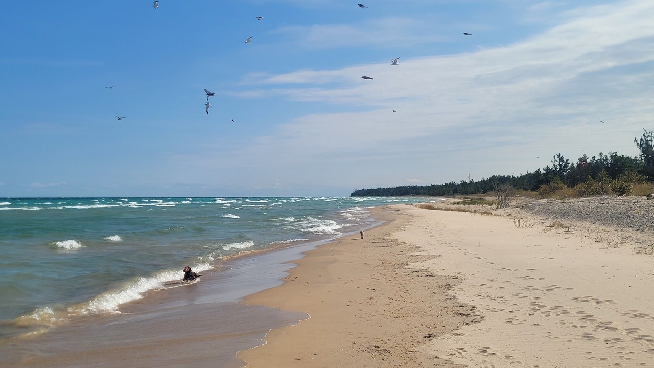 Photo of Others in Beaver Island