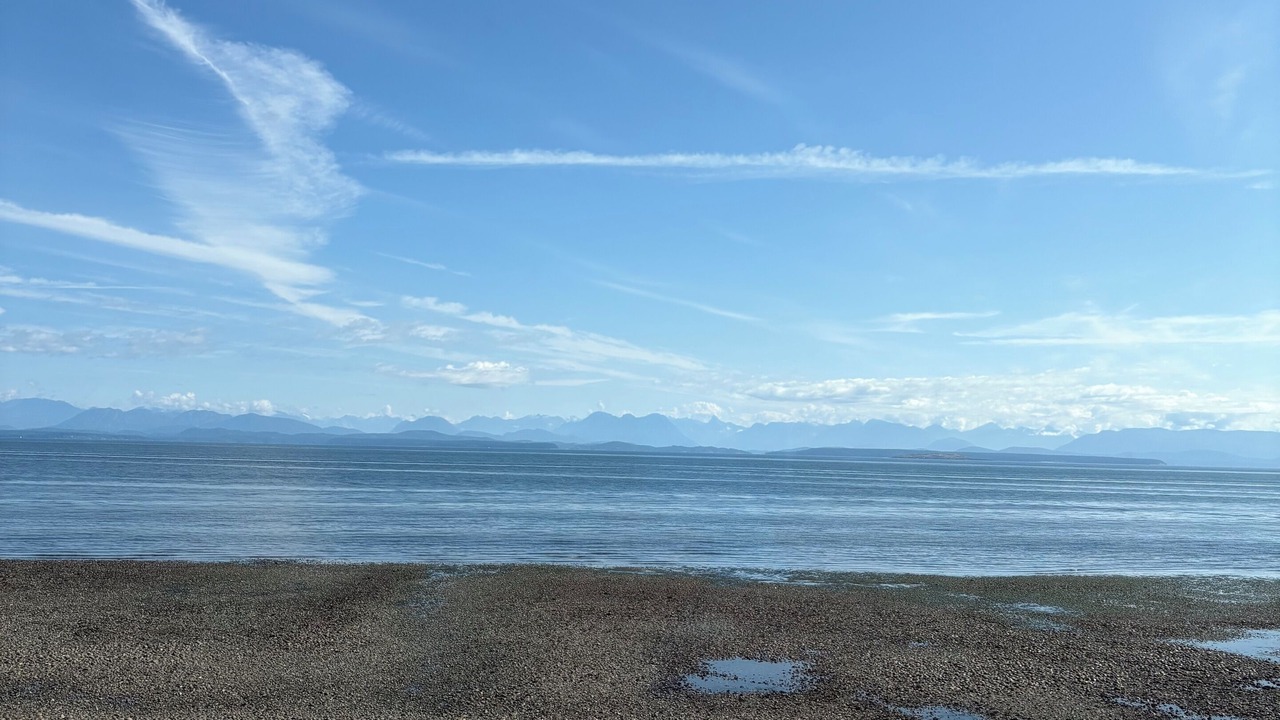 Photo of Patio Balcony in Campbell River