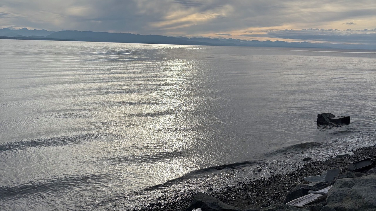 Photo of Others in Campbell River