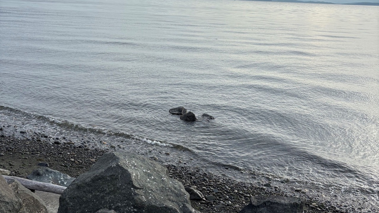 Photo of Others in Campbell River