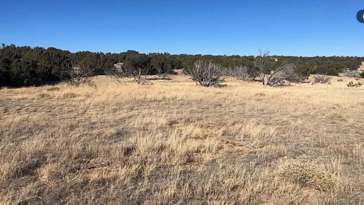 Photo of Others in Walsenburg